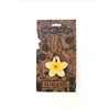 OLI&amp;CAROL kramtukas HAWAII THE FLOWER