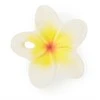 OLI&amp;CAROL kramtukas HAWAII THE FLOWER