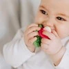 OLI&amp;CAROL kramtukas RAMONITA THE RADISH