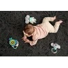 TAF TOYS barškutis KIMMY KOALA