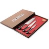 Satake Cutlery Mfg Japoniškų Damasko plieno peilių rinkinys Satake 3vnt