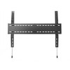 Laikiklis Multibrackets MB UNIVERSAL WALLMOUNT FIXED SD MAX 800X600, MAX 125KG