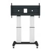 Laikiklis Neomounts NEWSTAR MOTORISED MOBILE FLOOR STAND - VESA 300X200 UP TO 1200X600 70-120" Sidabrinis