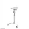 Laikiklis NEOMOUNTS BY NEWSTAR SELECT MOBILE DISPLAY FLOOR STAND (32-75") 10 CM. WHEELS Baltas