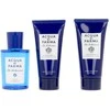 Acqua Di Parma Fico Di Amalfi, 100 ml Gift Set