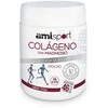 Amlsport Kolagenas su magniu Vit C Vit B1 B2 B6 Braškių skonio Pol