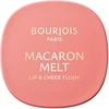 Bourjois MACARON MELT blush for cheeks and lips #2-Honey Nougat 8 gr