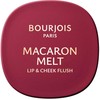 Bourjois MACARON MELT blush for cheeks and lips #5-Berry Smoothy 8 gr