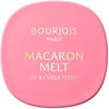 Bourjois MACARON MELT blush for cheeks and lips #1-Honey Nougat 8 gr