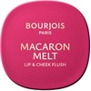 Bourjois Macaron Melt Colorete Para Mejillas y Labios 4-Rožinė Guava, 8 g
