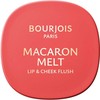 Bourjois MACARON MELT blush for cheeks and lips #3-Peach Tatin 8 gr