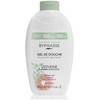 Byphasse Verbena ir Paplemousse dušo želė, 600 ml