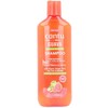 Cantu Guava y Ginger Scalp Relief Šampūnas, 400 ml