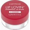 Catrice Lip Lovin' Overnight Lip Mask Lūpų balzamas