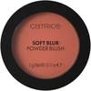 „Catrice Soft Blur“ pudriniai skaistalai „030-Cinnamon Sugar“, 5 g