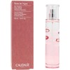 Tualetinis vanduo Caudalie Eau Fraiche Rose de Vigne 50 ml