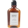 Depot 100 Hair Cleansing No. 101 Botanical Complex Hair Šampūnas Normalizing, 250 ml
