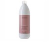 Farmavita AMETHYSTE CHROMA color protective Šampūnas 1000 ml