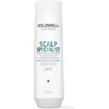 Goldwell Dualsenses Scalp Specialist Deep Cleansing Giliai valantis šampūnas, 250 ml