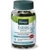 Kneipp Gummies Stress maisto papildai stresui mažinti 60 vnt guminukų