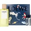 Loewe Agua EDT Purškiklis, 100 ml Nav24 Sets