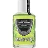 Marvis Spearmint Mouthwash Šaltmėčių skonio burnos skalavimo skystis, 120 ml