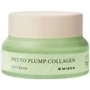 Mizon Dieninis kremas „Phyto Plump Collagen“ (dieninis kreminis), 50 ml
