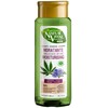 Naturvital Eco drėkinamasis kanapių ir sėmenų šampūnas 300ml