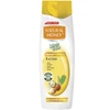 Natural Honey WASH &amp; GO Šampūnas for damaged hair 400 ml