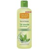 Natural Honey Té Verde Eau De Cologne, 700 ml