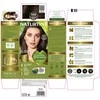 Naturtint plaukų dažai be amoniako 3wn - natūraliai spindinti tamsiai ruda spalva, 170 ml