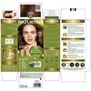 Naturtint Tinte Sin Amoniaco 5wb-Marrón Cobrizo Radiante, 170 ml