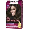 PALETTE INTENSIVE dye #4.1-Medium Ash Brown 1 unit