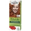 Schwarzkopf Palette Naturals Color Creme 8.77 Intense Copper - plaukų dažai