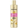 Pantene Miracle Rizos Definidos Champú, 250 ml
