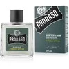 Proraso Cypress &amp; Vetyver Barzdos balzamas, 100 ml