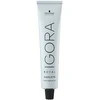Schwarzkopf Igora Royal Highlifts 10-1-Rubio Platino Ceniza, 60 ml