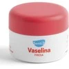 Maitinamasis lūpų balzamas Senti2 Braškė 20 ml