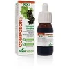 Soria Composor 23 Hyssopus S Xx1 50ml