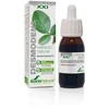 Soria Desmodens ekstraktas S Xxi 50ml