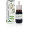 Soria Extractas Baltoji gudobelė S Xxi 50ml