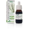 Soria Asiūklio ekstraktas S Xxi 50ml