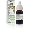 Soria Extracto Natūralus rompepiedros lapų Lepidium latifolium L. ekstraktas augaliniame glicerine S Xxi 50ml