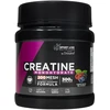 SPORT LIVE DRASANVI CREATINE 200MESH #Forest Fruits 300 gr