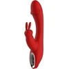 Dreamtoys ARTEMIDĖS PAGRINDAI