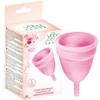 Yoba Nature Sante Yoba S Nature Sante menstruacinė taurelė