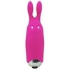 Adrien Lastic Mažas klitorio masažuoklis-stimuliatorius silikoninis 8 cm seksui