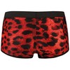 ANAIS MEN BOXER &amp; BRIEF ANAIS MEN Savage Boxer S Raudona Microfiber Animal Print