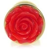 B Series Heavyfun B serijos Heavyfun Raudon Analinis kištukas Rose Steel Plug 7cm