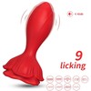 B Series Joy Rosenberg Raudona, 9 vibracijos funkcijos